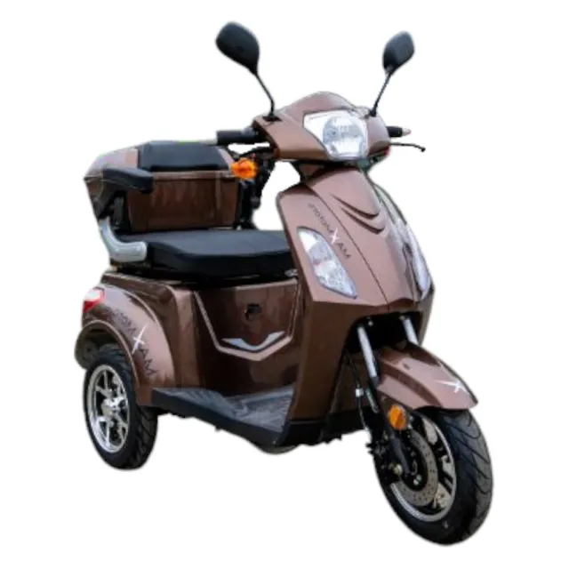 Електрическа триколка 1500W 20Ah | FM1, кафяв - Max