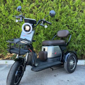 Двуместна електрическа триколка Pudding 2000W 60V, Сива